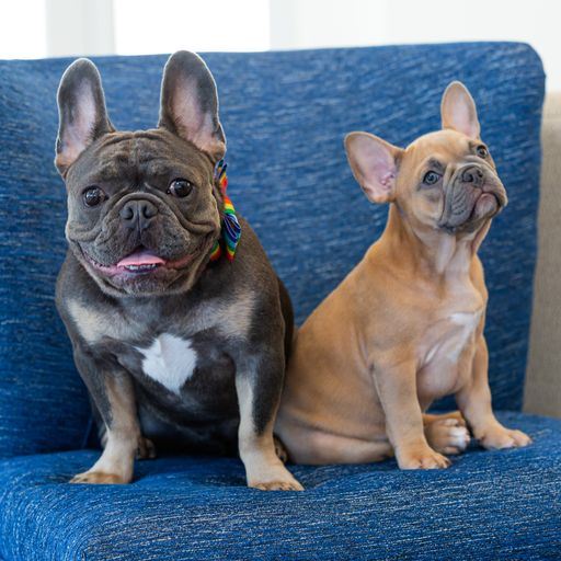 Hilton Garden Inn Salt Lake City Airport