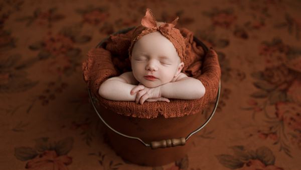 Zoe Arnesen Photography