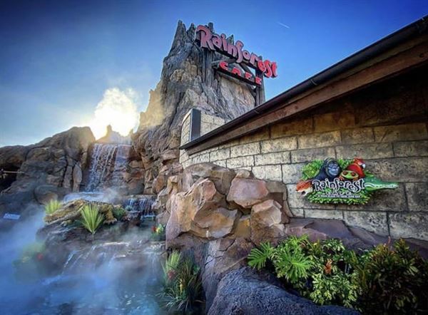 Rainforest Cafe