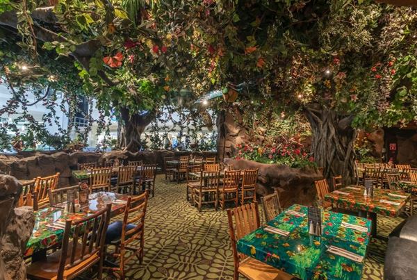 Rainforest Cafe