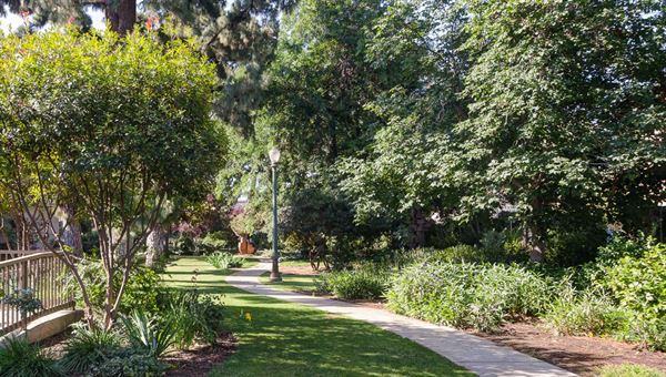 Bakersfield Museum Of Art