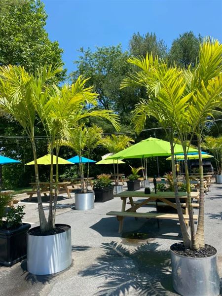 Tony Locos Bar & Restaurant