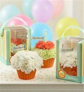 Bob's Flower Shop - Northampton - Allentown