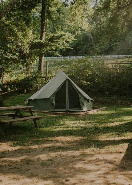 Gold River Camp + Cabins
