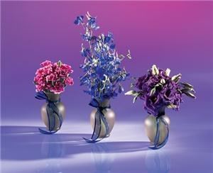 Bob's Flower Shop - Northampton - Allentown