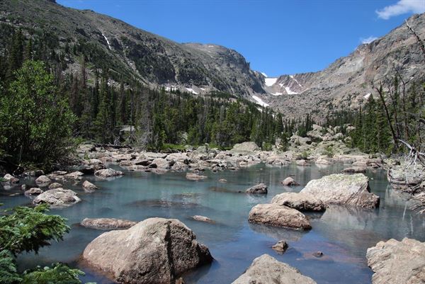 The Woods at Cedar Springs