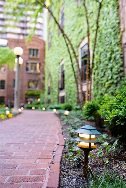 The Ivy Room At Tree Studios