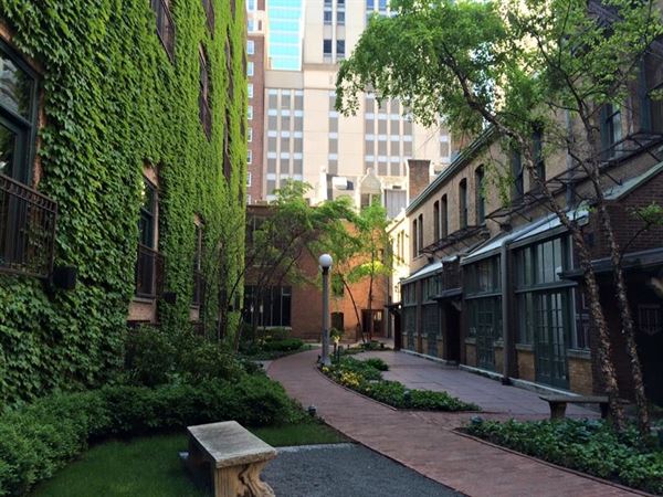 The Ivy Room At Tree Studios