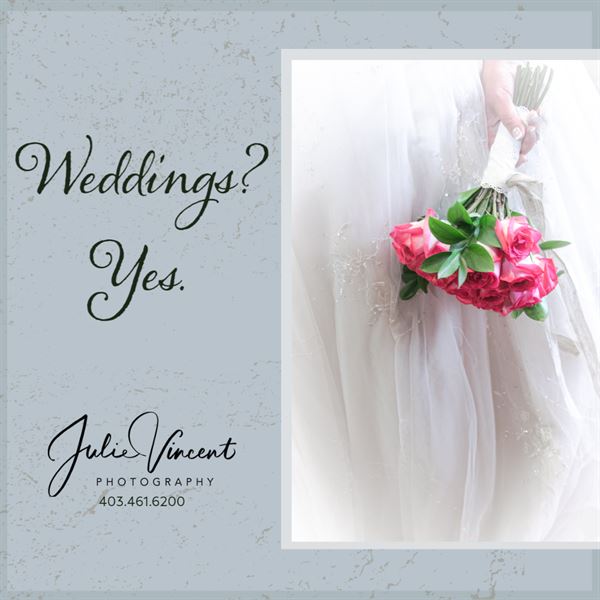 Julie Vincent Photography