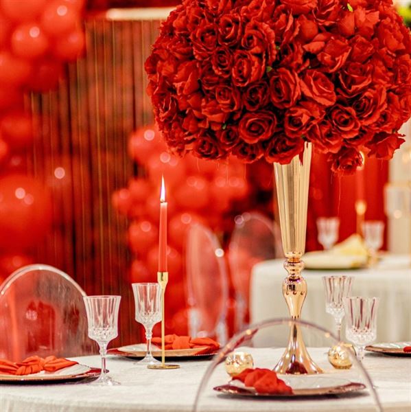 Terra Belle Event Studio