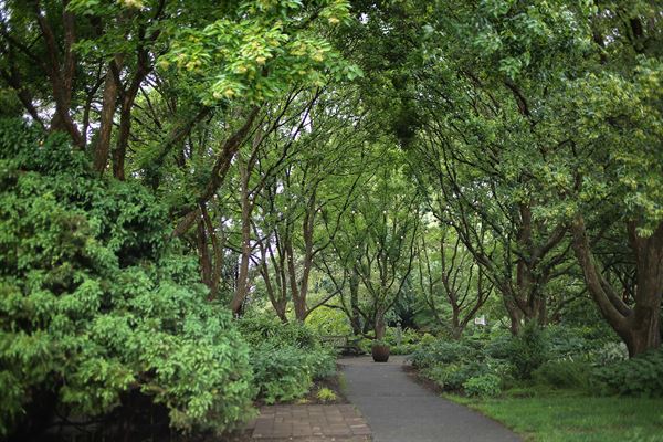 Hahn Horticulture Garden at Virginia Tech