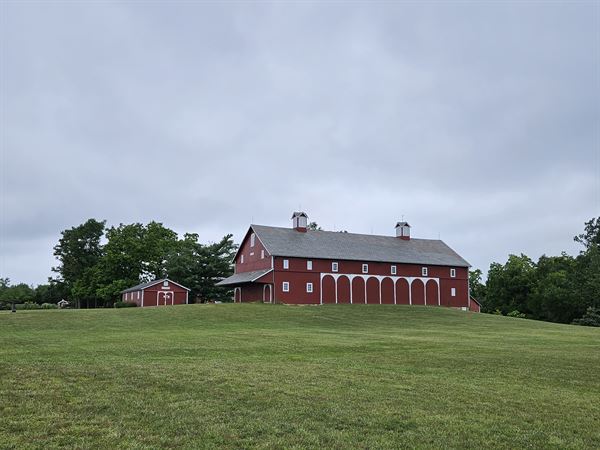 Salomon Farm Park