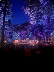 The Park - Forest stage & amphitheater