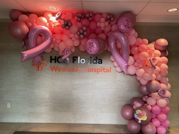 Lights Camera Selfies