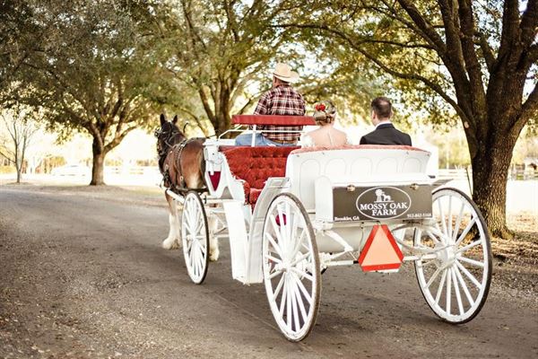 Mossy Oak Farm Weddings & Events