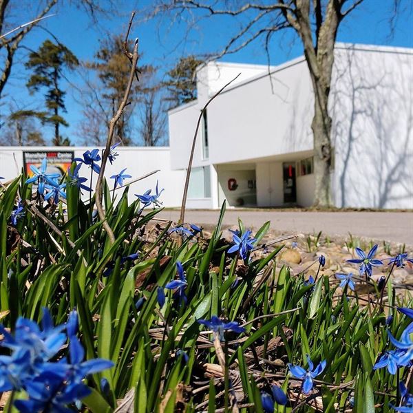 Mansfield Art Center