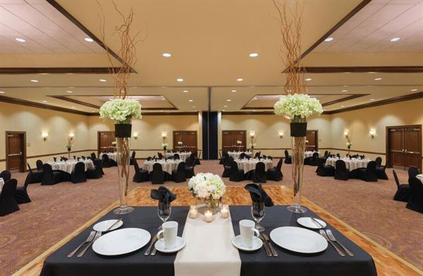 Hilton Phoenix Chandler