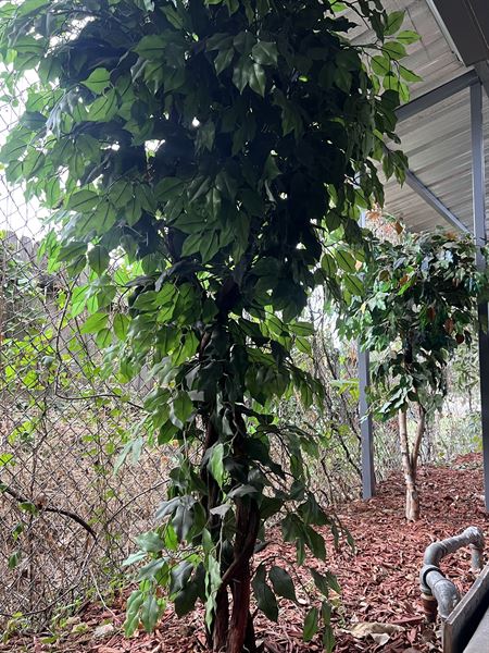 Area 51 Event Center