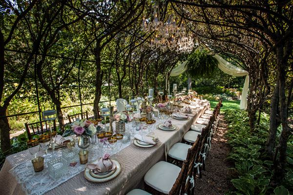 Wandering Tree Estate