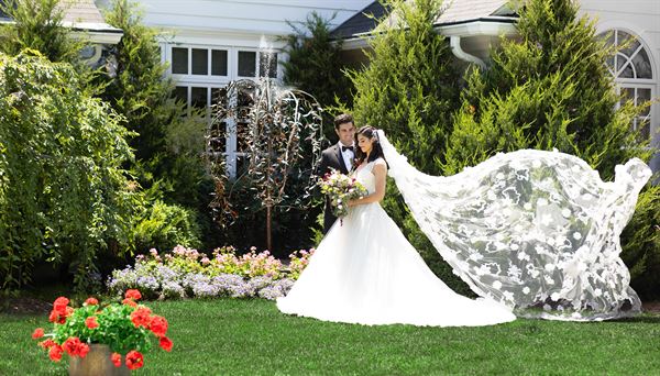 Wandering Tree Estate