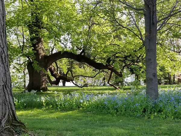 The Garden Club of Kentucky, Inc.
