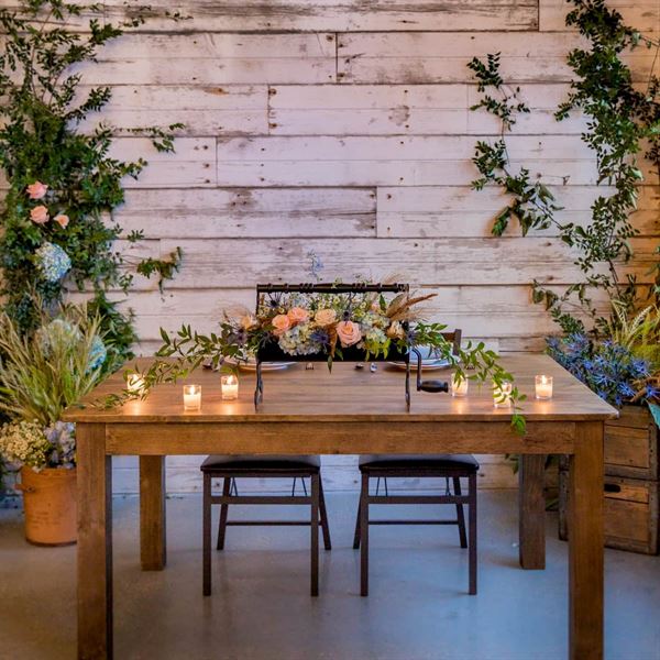 The Lone Girl Brewing Company