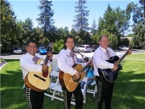 Mariachi Trio Estrellas De Oro... Mariachi Band