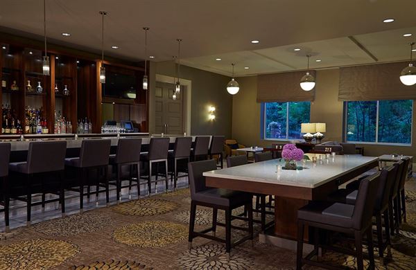 Hyatt Regency Atlanta Perimeter at Villa Christina