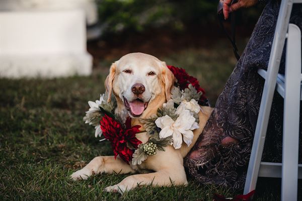 Wisconsin Country Club