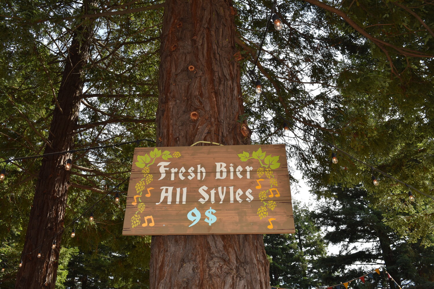 Hopmonk Tavern - Sebastopol