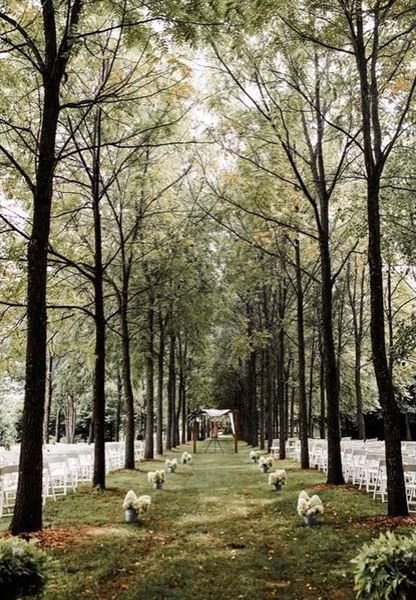 Rooster Ridge Vineyards