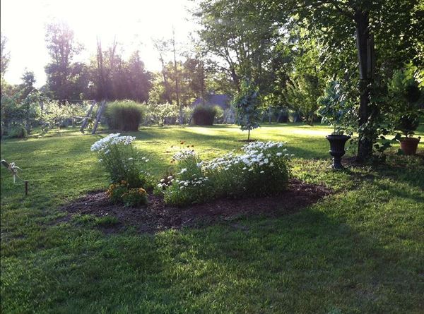 Rooster Ridge Vineyards