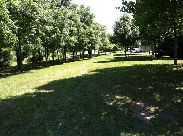 Rooster Ridge Vineyards