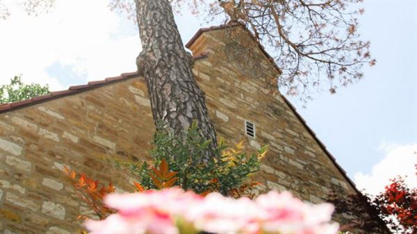 KU Memorial Unions The University of Kansas