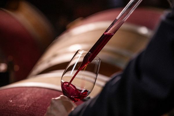 Laguna Canyon Winery