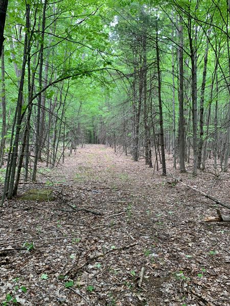La Grange Barn & Estate Catskills Wedding Venue