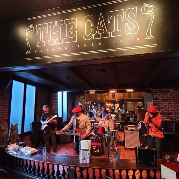 The Cats