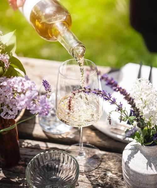 Cheeky Duck Vineyard