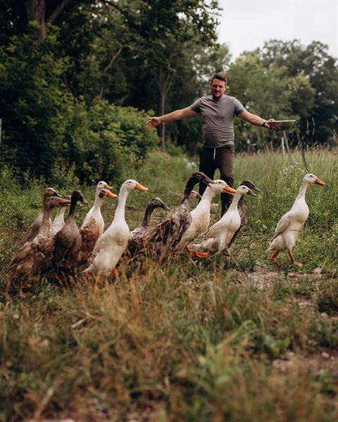 Cheeky Duck Vineyard