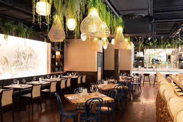 Dorothy's Cocktail & Oyster Bar