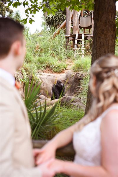 Riverbanks Zoo & Garden