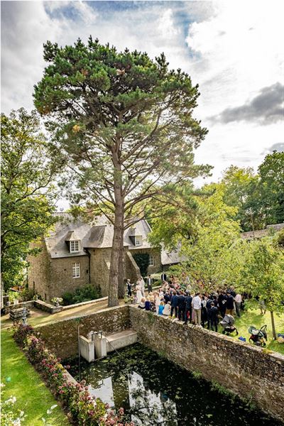 Shado of a Rose Photography