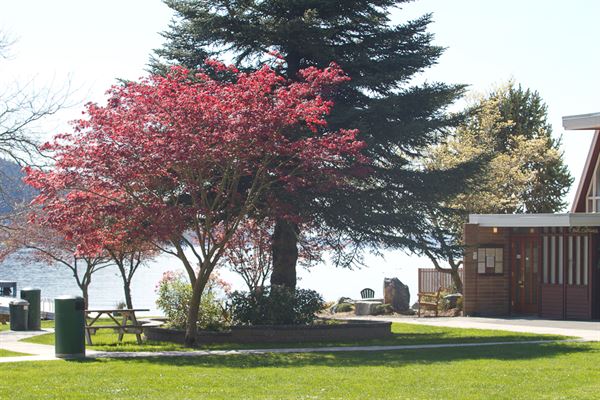 Lake Forest Park Civic Club