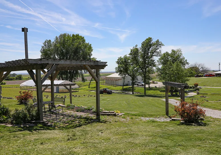 Loess Hills Lavender Farm