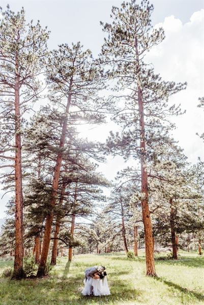 Della Terra Mountain Chateau