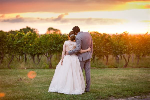 Bella Vista at Casa Larga Vineyards