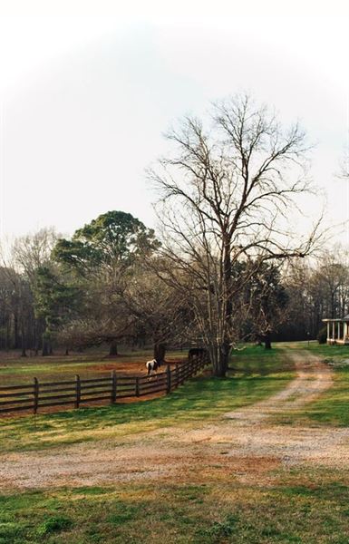 Auburn Bed and Breakfast at Shoofly Farm