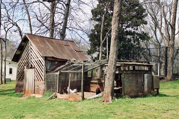 Auburn Bed and Breakfast at Shoofly Farm