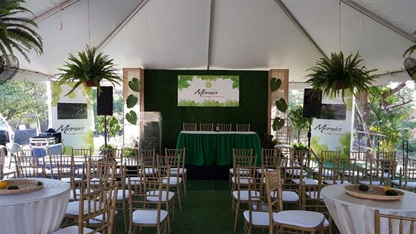 Beats by Dr. Brooklyn