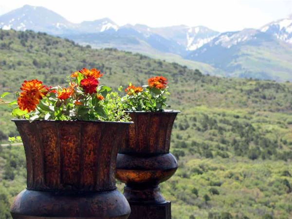 Whispering Oaks Ranch